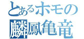 とあるホモの麟鳳亀竜（）