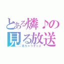 とある燐♪の見る放送（見ちゃうぞ☆彡）