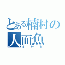 とある楠村の人面魚（さ か な）