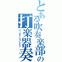 とある吹奏楽部の打楽器奏者（パーカッショニスト）