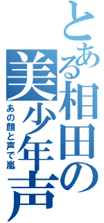 とある相田の美少年声（あの顔と声で嵐）