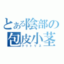 とある陰部の包皮小茎（クリトリス）