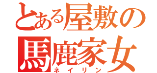 とある屋敷の馬鹿家女中（ネイリン）