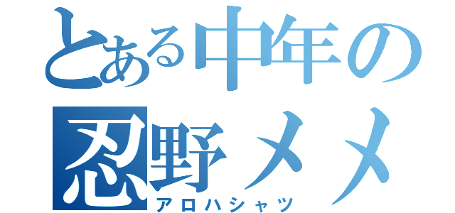 とある中年の忍野メメ（アロハシャツ）