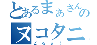 とあるまぁさんのヌコタニ殺し（ごるぁ！）