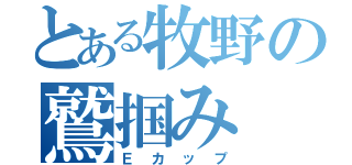 とある牧野の鷲掴み（Ｅカップ）