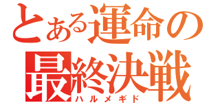 とある運命の最終決戦（ハルメギド）