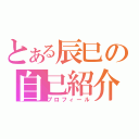 とある辰巳の自己紹介（プロフィール）