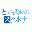 とある武藤のスク水ナメナメ（オナニー）