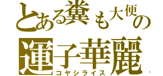 とある糞も大便の運子華麗（コヤシライス）