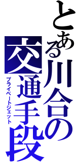 とある川合の交通手段（プライベートジェット）