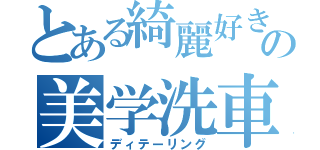 とある綺麗好きのの美学洗車（ディテーリング）