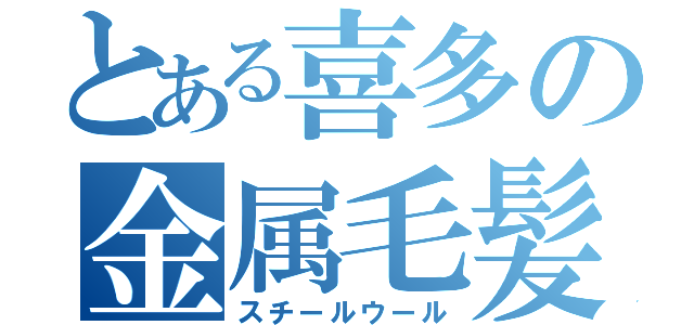 とある喜多の金属毛髪（スチールウール）