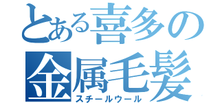 とある喜多の金属毛髪（スチールウール）