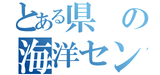 とある県の海洋センター（）