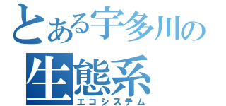 とある宇多川の生態系（エコシステム）