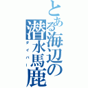 とある海辺の潜水馬鹿（ダイバー）