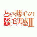 とある薄毛の発毛実感Ⅱ（ＵＳＧ）