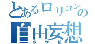 とあるロリコンの自由妄想（小学校）