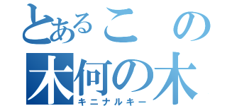 とあるこの木何の木（キニナルキー）