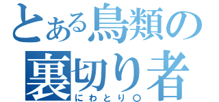 とある鳥類の裏切り者（にわとり〇）