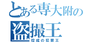 とある専大附の盗撮王（佼成の犯罪王）