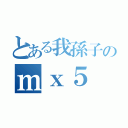 とある我孫子のｍｘ５（）