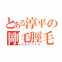 とある淳平の剛毛脛毛（スネゲックス）