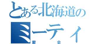 とある北海道のミーティング（密会）