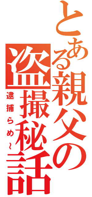 とある親父の盗撮秘話（逮捕らめ～）