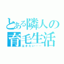 とある隣人の育毛生活（泣きたい……）