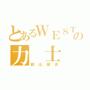 とあるＷＥＳＴの力 士（桐山照史）