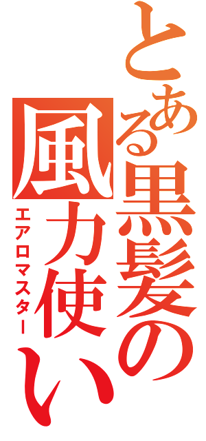 とある黒髪の風力使い（エアロマスター）