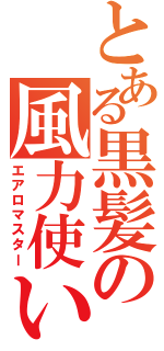 とある黒髪の風力使い（エアロマスター）