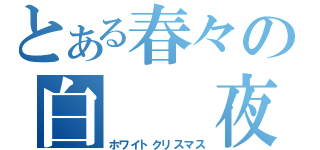 とある春々の白　　夜（ホワイトクリスマス）