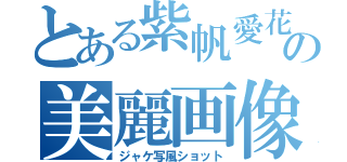 とある紫帆愛花の美麗画像（ジャケ写風ショット）