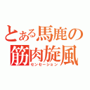 とある馬鹿の筋肉旋風（センセーション）