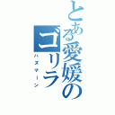 とある愛媛のゴリラ（ハヌマーン）