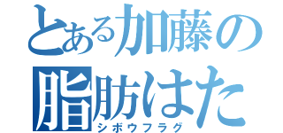 とある加藤の脂肪はた（シボウフラグ）