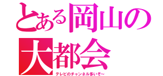 とある岡山の大都会（テレビのチャンネル多いぞ～）