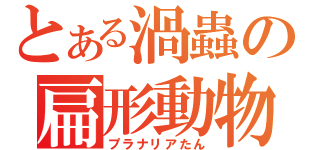 とある渦蟲の扁形動物（プラナリアたん）