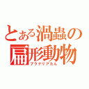 とある渦蟲の扁形動物（プラナリアたん）