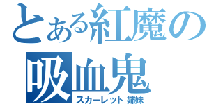 とある紅魔の吸血鬼（スカーレット姉妹）