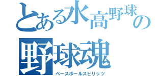 とある水高野球の野球魂（ベースボールスピリッツ）