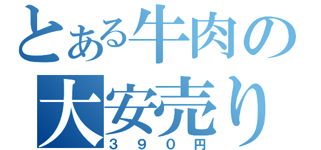 とある牛肉の大安売り（３９０円）