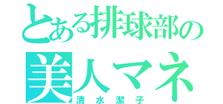 とある排球部の美人マネ（清水潔子）