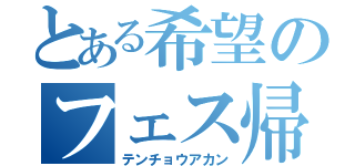 とある希望のフェス帰り（テンチョウアカン）