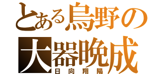 とある烏野の大器晩成（日向翔陽）