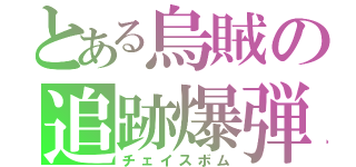 とある烏賊の追跡爆弾（チェイスボム）