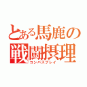 とある馬鹿の戦闘摂理（コンパスプレイ）